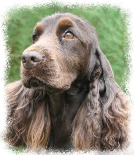 Anouchka de made in Roques