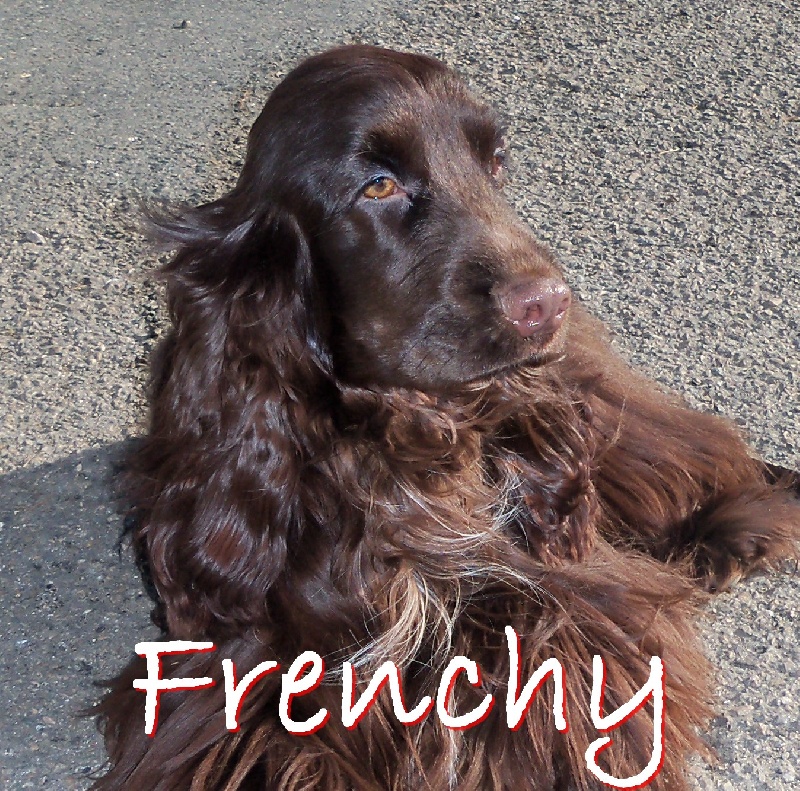Frenchy de made in Roques