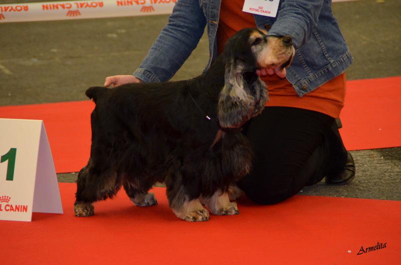 Voxan de made in Roques